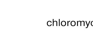 How to pronounce chloromycetin [upl. by Yerdua]