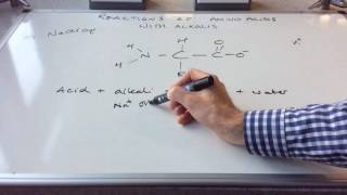 Reactions of Amino Acids [upl. by Maon861]