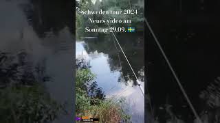 Lachsangeln in Schweden 🇸🇪🤙 twitch fishing live [upl. by Jaenicke397]