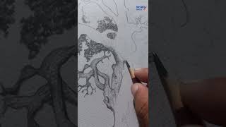 Tree drawing full detailing work Smudging techniques [upl. by Aikim24]