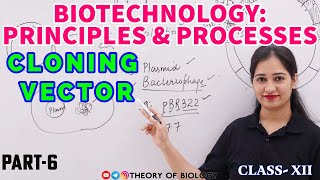 Cloning Vector Plasmid vector pBR322 VECTOR ClassXII Biotechnology NCERT BIOLOGY Neet exam [upl. by Aierdna]