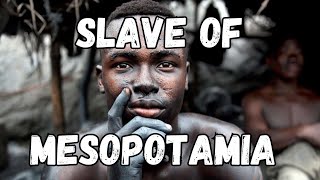 The Dark Truth of Mesopotamian Slavery EXPOSED [upl. by Norrehc]