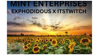 mint enterprises [upl. by Deadman]