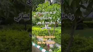 Qala rabish rahli sadri  By Hafiz Junaid Noori [upl. by Murphy]