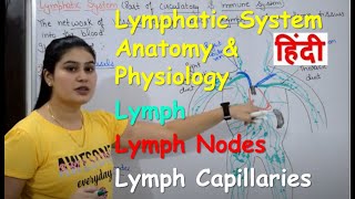 Lymphatic System in Hindi  Lymph  Lymph Nodes  Lymph Vessels  Anatomy amp Physiology [upl. by Aihsem]