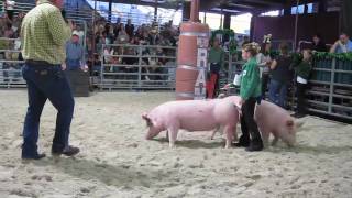 Sarasota County Fair 2010mov [upl. by Desirae]