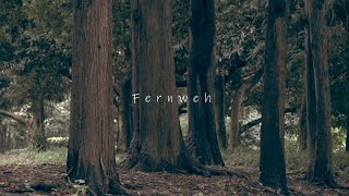 hakumei  Fernweh 【Music Video】 [upl. by Shult160]