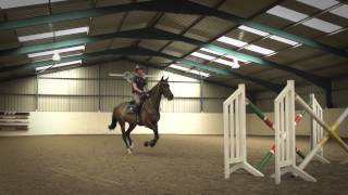 Behind The Scenes of Showjumping  Excelling Under Pressure [upl. by Rube]