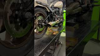 Softail Low Rider ST 117” Wood WM8777XE cam Jackpot Riot 21 exhaust [upl. by Genny655]