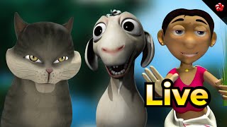 🔴 LIVE STREAM ✨ Manjadi and Pupi A Magical Storytime Adventure [upl. by Onitsuaf]