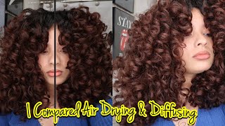 DIFFUSING VS AIR DRYING CURLY HAIR  Which gives BEST Curl Definition amp Volume 2c3a3b curls [upl. by Fife]