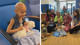 5YearOld Cancer Patient Surprised With New Puppy [upl. by Edmon]