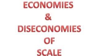 Economies amp Diseconomies of Scale Hindi [upl. by Godred195]