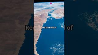 🌊 Interesting facts about red sea 🧂 [upl. by Eisak636]