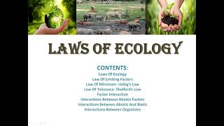 Laws of ecology part 2 [upl. by Aniral]