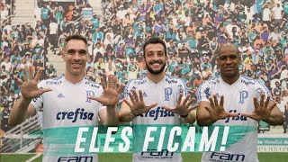 PRASS JAILSON E EDU DRACENA FICAM NO PALMEIRAS [upl. by Ettevol]