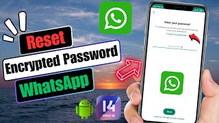 How To Reset Encrypted Password On WhatsApp  Recover WhatsApp Encrypted Password 2024 [upl. by Onin]