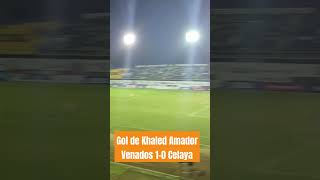 GOL DE VENADOS VENADOS 10 CELAYA shorts [upl. by Timon]