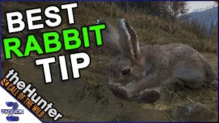 Best Tip for Jackrabbit Call of the Wild TheHunter [upl. by Aleehs]