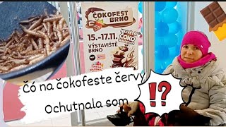 Výstavisko Brno čokofest aj červíkofest 😂🦠 na vozíku ♿ Česko [upl. by Leoj]