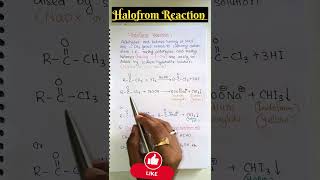 ❌ Halofrom Reaction 🔥🔥🔥 shorts neet iitjee jeemains boards viralshorts [upl. by Marijn495]