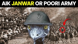 How Australia Lost War Against Birds  The Great EMU War [upl. by Small]