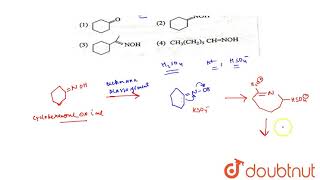 Caprolactam a starting material for the manufacture of nylon 6 is prepared by sulhpuric acid [upl. by Othella145]