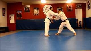 Kouchi MakikomiIppon Kouchi by Gracie Tampa Judo Instructor David Cainas [upl. by Eanel]