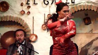 Sacromonte Flamenco in Granada [upl. by Nyrehtac]