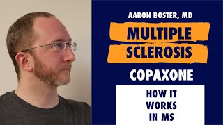 How Copaxone Works in MS Mechanism of Action Explained in 60 Seconds [upl. by Brit282]