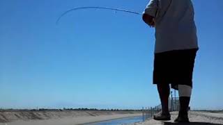 Friant Kern canal catfishing [upl. by Rolo]