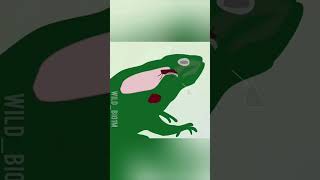 क्या आपको पता है Frog अपने eye खाते टाइम Close Q karta हैं। facts shorts [upl. by Sasnett428]