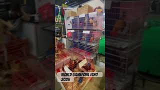 World Gamefowl Expo 2024  Prices ng Manok Panabong worldtradecentermanila [upl. by Sello330]