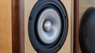 MarkAudio  MS11 The Lavish Demo HD720 [upl. by Kyriako]