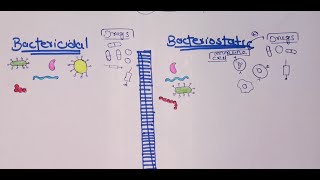 Difference between bacteriostatic and bactericidal drugs urduhindi [upl. by Anizor15]