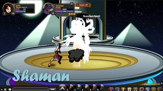 Aqw TIBICENAS SOLO with Archpaladin amp Shaman class [upl. by Casilde991]