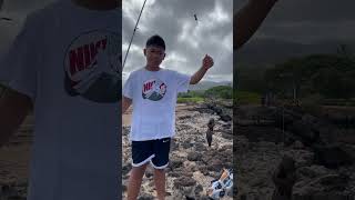 Eel caught off Black Rock in Maui fishing [upl. by Htenek]