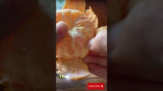 Peeling Mandarins A Speedy and Simple Method [upl. by Rednijar]