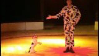 MYShows Dogact  Yvo Antoni amp PrimaDonna [upl. by Atidnan410]