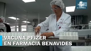 Vacuna Pfizer contra Covid19 estará disponible en Farmacias Benavides en estos lugares [upl. by Hayilaa387]