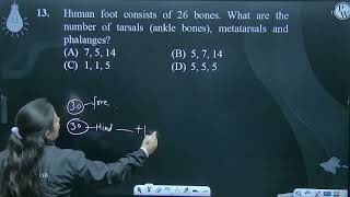 Human foot consists of 26 bones What are the number of tarsals ankle bones metatarsals and p [upl. by Akinam]