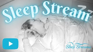 live ASMR SleepSnore Stream with Puppies [upl. by Doretta]