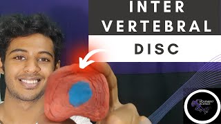 INTERVERTEBRAL DISC BIOMECHANICS OF SPINEPhysiotherapy Tutorial [upl. by Harrad551]