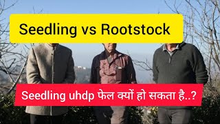 Seedling vs Rootstock Difference [upl. by Nemracledairam491]