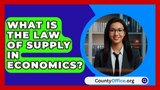 What Is The Law Of Supply In Economics  CountyOfficeorg [upl. by Nannah988]