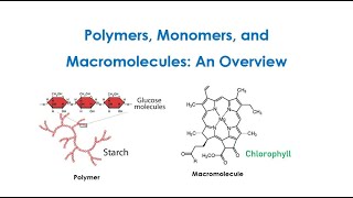 Principles of Polymer Chemistry Monomers Polymers And Macromolecules An Overview Lect 1 [upl. by Beeck]