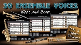 30 Ensemble Voices  Wood and Brass [upl. by Wane456]