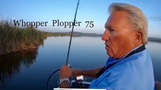 Its a great lureWhopper Plopper 75 [upl. by Leventis]