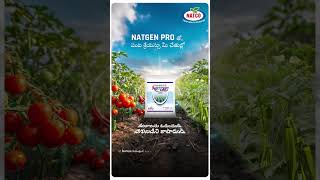 Protect Your Crops with NATGEN PRO Advanced CTPR Granules [upl. by Dorena179]