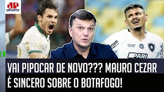 quotNUNCA DUVIDEM da capacidade do Botafogo de DAR UMA PIPOCADA E o Palmeirasquot Mauro Cezar É DIRETO [upl. by Nevad]